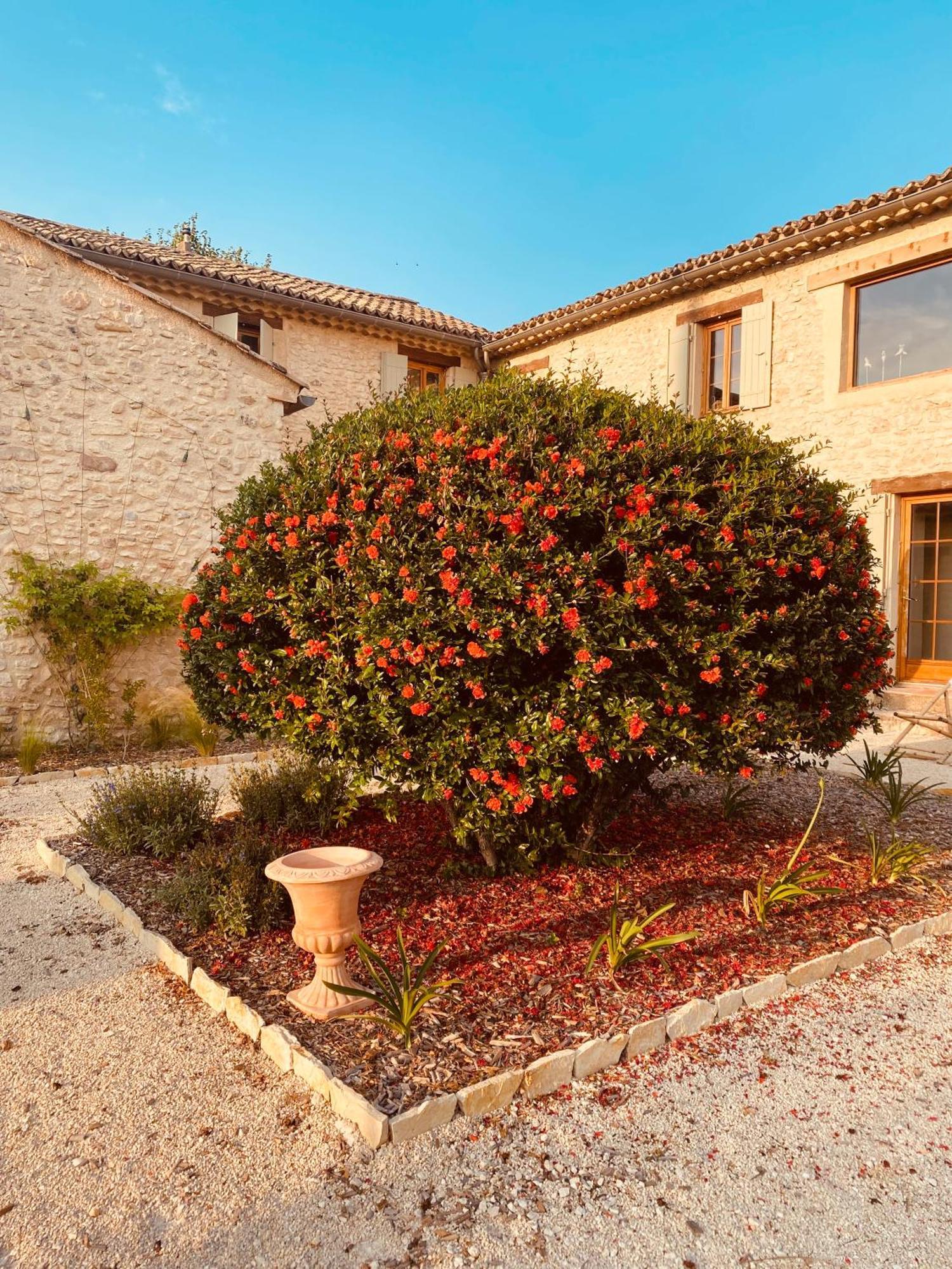 فيلا La Bastide Des Oliviers Provence - Mirabel Aux Baronnies المظهر الخارجي الصورة
