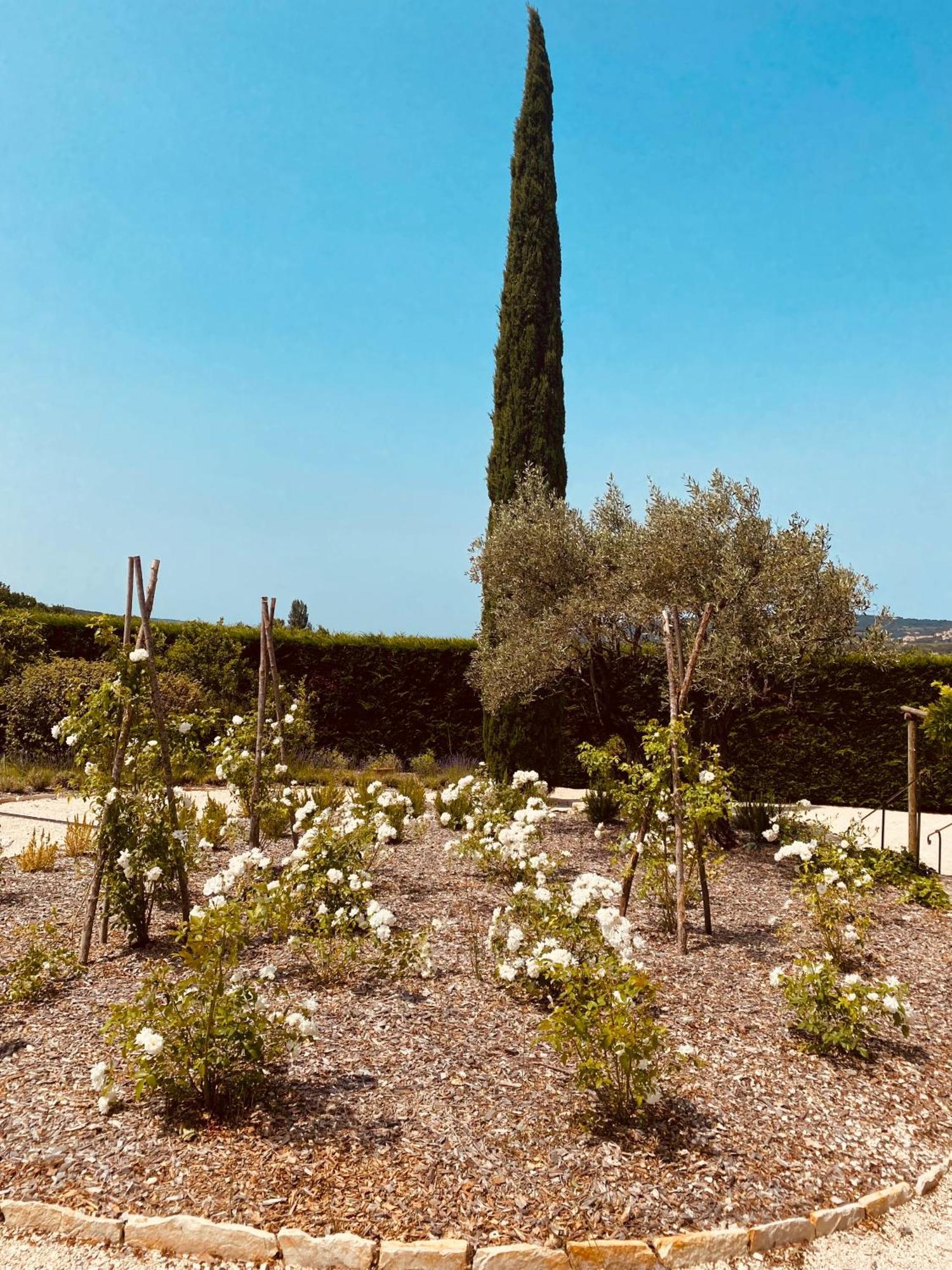 فيلا La Bastide Des Oliviers Provence - Mirabel Aux Baronnies المظهر الخارجي الصورة