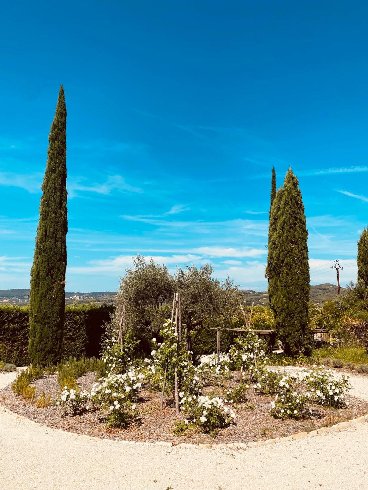 فيلا La Bastide Des Oliviers Provence - Mirabel Aux Baronnies المظهر الخارجي الصورة